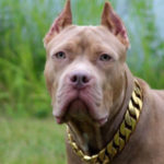 Profile picture of Anita Samuelson