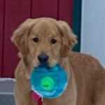 Profile picture of Ruth McGaughey