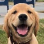 Profile picture of Carrie Miller